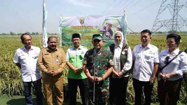 KASAD Jenderal TNI Dudung Abdurachman  Panen Raya Padi Unggulan di Karawang