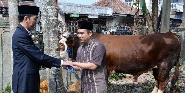 Presiden Jokowi Tegaskan Tidak Akan Intervensi Internal KPK