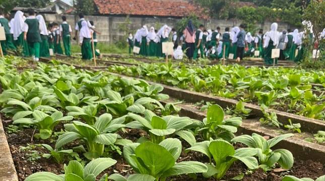 SMP Islam Alsyukro Universal Gulirkan Urban Farming, Lahirkan Jiwa Enterpreneurship