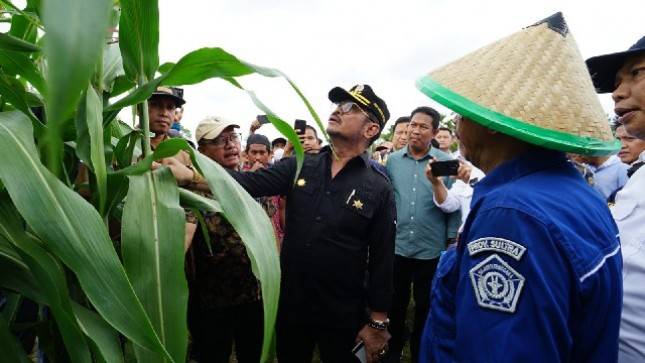 Tanam Sorgum di Konawe Selatan, Mentan SYL Dorong Bupati dan Petani Gunakan KUR
