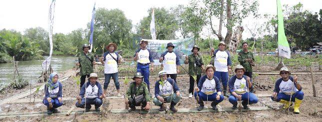PT Asahimas Chemical Kembali Menanam 30.000 Bibit Mangrove Baru
