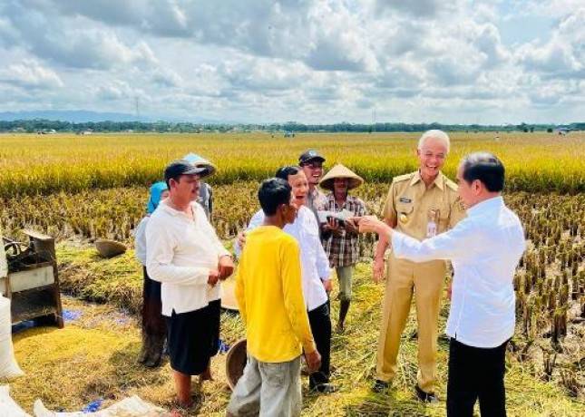 Presiden Jokowi Minta Badan Pangan Nasional Hitung Harga Gabah Kering Petani