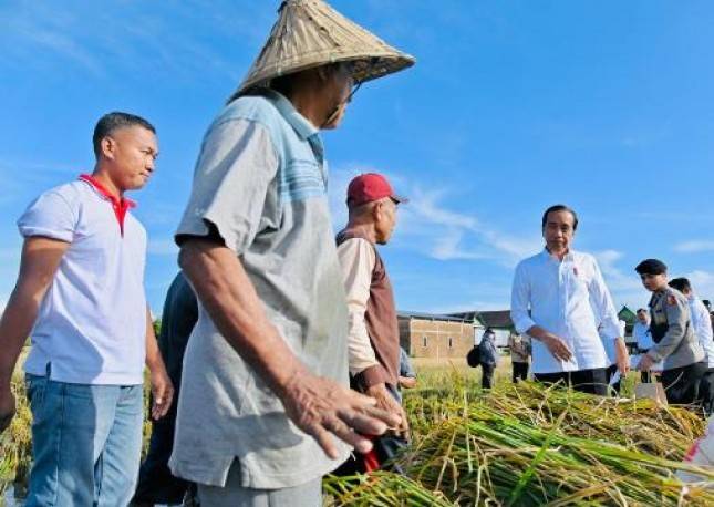 Maros Lumbung Beras Sulsel, Presiden Jokowi : Surplus Panen Bisa untuk Daerah Lain