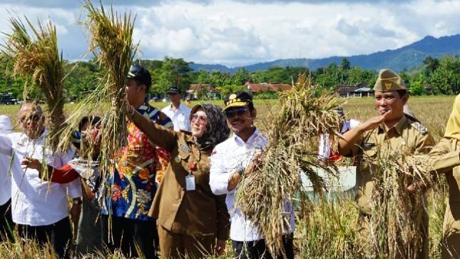 Mentan SYL Bersyukur Kabupaten Klaten Panen Padi IP400