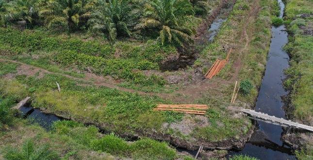 Kerusakan Suaka Margasatwa Rawa Singkil Makin Parah, Tindakan Tegas Pemerintah Dipertanyakan