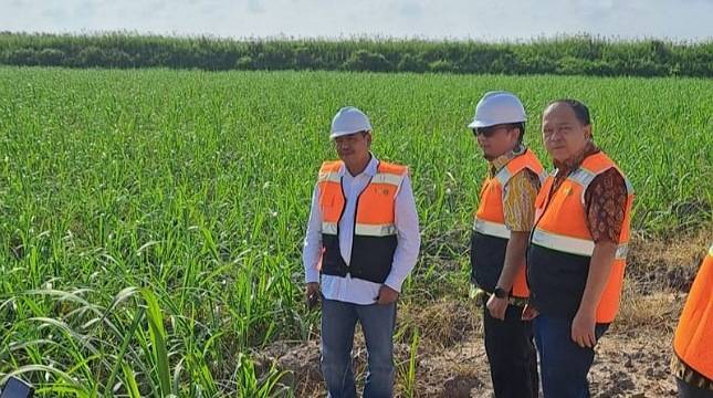 Kemenperin Apresiasi PT PNS 'Sulap' Lahan Rawa jadi Industri Gula Terintegrasi