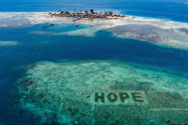 Yuk Gabung dengan Proyek Restorasi Terumbu Karang Terbesar di Dunia melalui SHEBA&reg; Hope Advocate Program