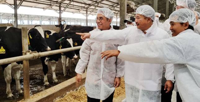 Suplai Bahan Baku Susu Olahan Capai 41 Persen di 2021
