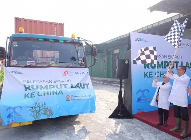 PPI Lepas Ekspor Rumput  Laut ke China