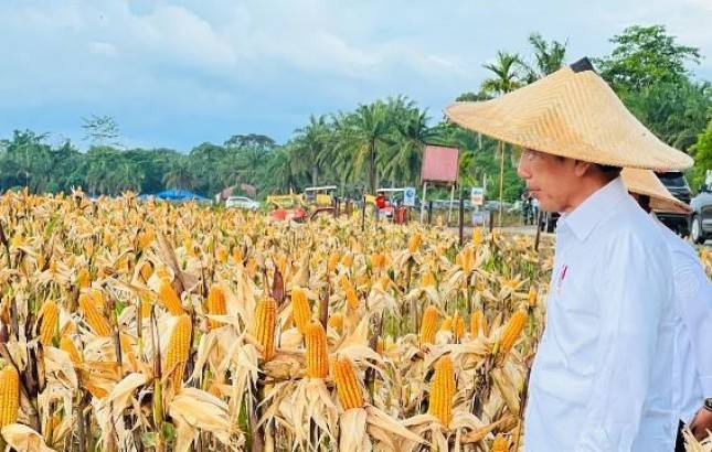 Patut Dicatat, Fokus Program yang Dibutuhkan Papua Selama Pemerintahan Jokowi Adalah Kemiskinan Berkurang