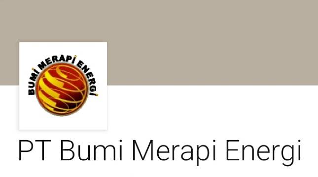 Viral PT BME Dipailitkan, Ini Kata Pakar