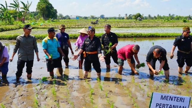Mentan SYL Dorong Provinsi NTB Jadi Penyangga Pangan Indonesia Timur