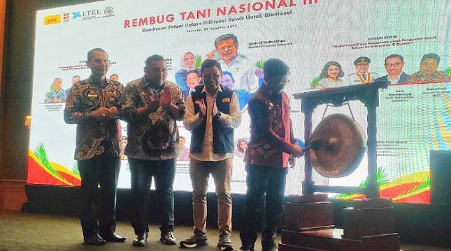 SPKS Minta Program Hilirisasi Sawit Libatkan Koperasi dan Petani