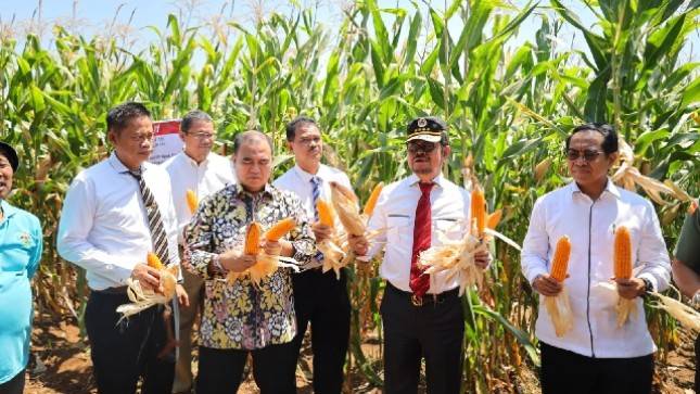 Tak Hanya Tingkatkan Produksi, Kementan Pun Kejar Pendapatan Petani Naik