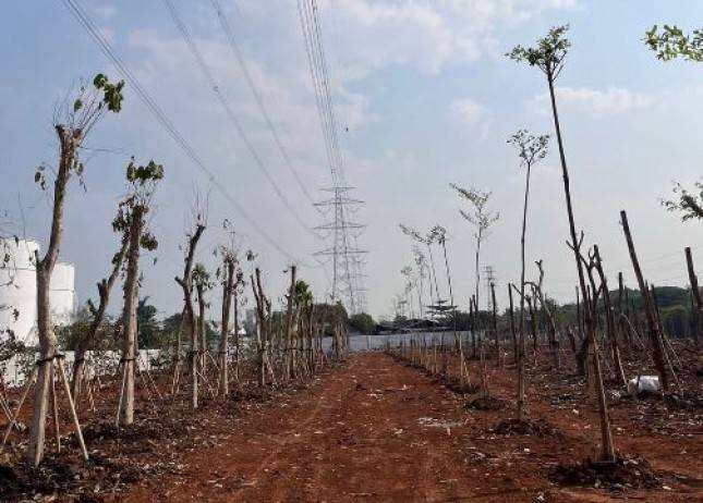 Tempuh Pendekatan Humanis, PT JIEP Berhasil Mengembalikan Fungsi  Hutan Kota di Kawasan Industri  Pulo Gadung