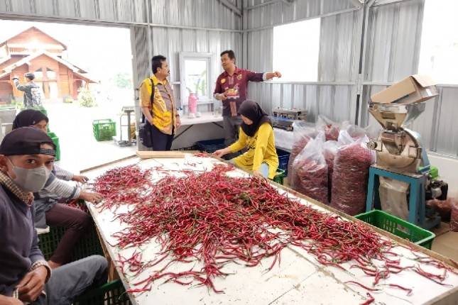 Wujudkan UMKM Hortikultura Naik Kelas, Kementan Buat Aplikasi PROHORTI
