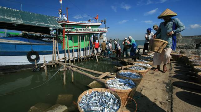 Bikin Nelayan Tersenyum, KKP Kembali Salurkan Pinjaman Modal Rp5,27 Miliar untuk Nelayan hingga Pembudidaya di Sulawesi Utara