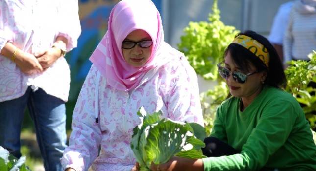 Sukses Bertani di Kota bersama BRI, Kisah Mrican Caturtunggal di Yogyakarta
