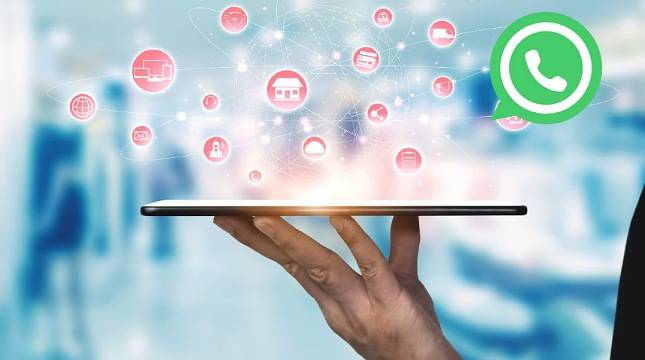WhatsApp Web Kini Bisa Video Call Tanpa Instal Aplikasi!
