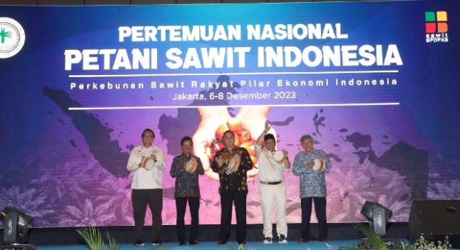 Buka Penas Petani Sawit, Menko Airlangga Berkomitmen PSR Terus Dilanjutkan