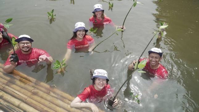 KoinWorks Tanam Pohon Mangrove Bersama Pendana dan Peminjam, Tekankan Komitmen terhadap Pengurangan Jejak Karbon