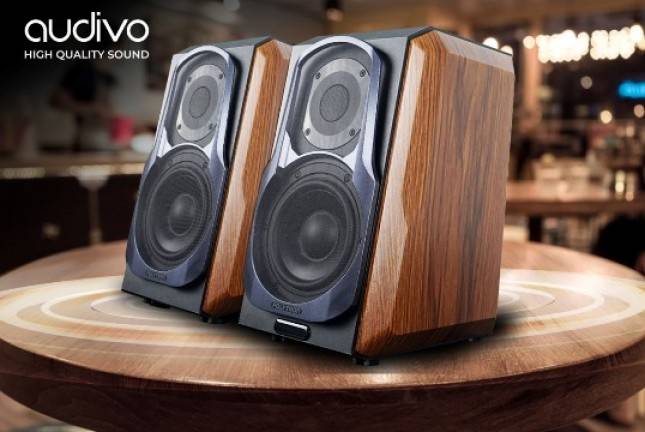 POLYTRON Mendobrak Dunia Audio High End, &lsquo;Worthed Untuk Dimiliki&rsquo; Ini Kata Reviewer Tentang HiFi Speaker Audivo PHS 6A