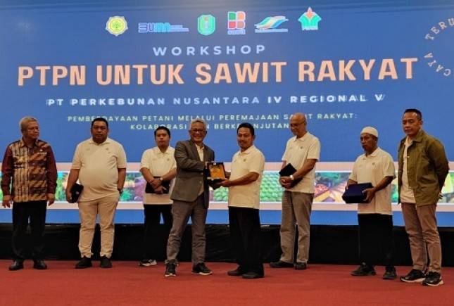 Top! Targetkan Peremajaan Sawit Renta Hingga 60.000 Ha, PTPN IV PalmCo Komitmen Dongkrak Produktivitas Petani