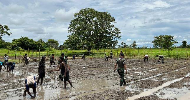 Bersama Warga, Prajurit Lipan 726 Manfaatkan Rawa Guna Meningkatkan Program Ketahanan Pangan Di Kampung Kondo