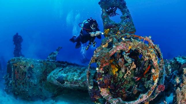 Ini 6 Aktivitas Seru yang Bisa Dilakukan di KEK Morotai, Snorkeling Hingga Berenang dengan Hiu