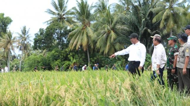 Mentan Amran Serahkan Total Alokasi Pupuk Subsidi 54 Triliun