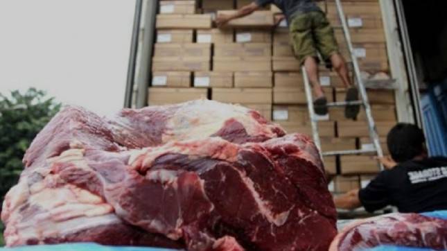 Impor Daging Kerbau Nanti Dulu, Kementan Minta Bulog Fokus Serap Gabah dan Jagung Petani