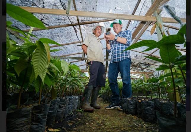 KOLTIVA Luncurkan Teknologi EUDR Untuk Bisnis Berkelanjutan Siap Hadapi Peraturan Global Bebas-Deforestasi Uni Eropa
