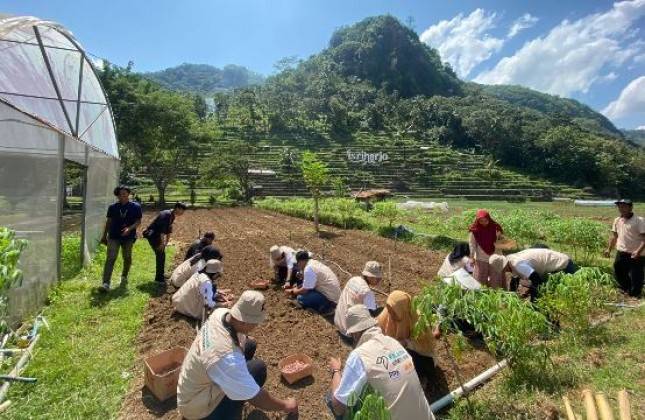 PPA dan JIEP Dukung Pengembangan Desa Pertanian dan Wisata Terintegrasi di Desa Sriharjo