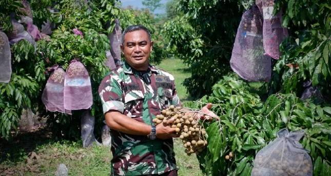 Cerita Serda Mugiyanto Bersama Atik Chandra Fokus Dorong Penanaman Buah Organik