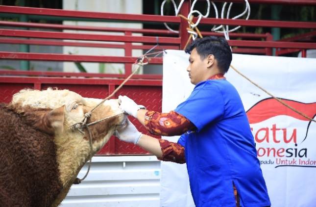 Berdayakan Peternak Kecil, Grup Astra Salurkan 1614 Hewan Kurban