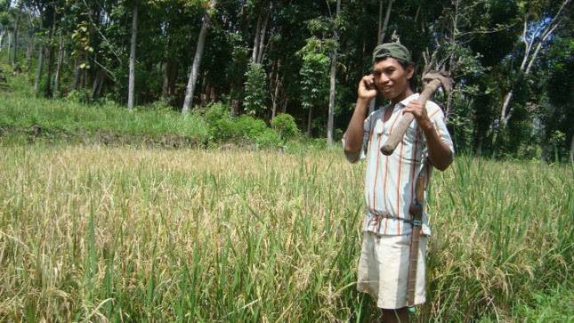 Teknologi dan Jejaring Petani Milenial Tingkatkan Produktivitas Tani