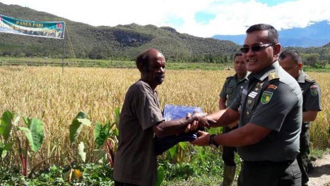 TNI-Masyarakat Kelompok Tani Wamena Panen Raya Padi