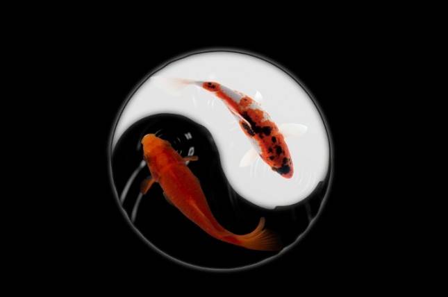 Tips Memaksimalkan Feng Shui Rumah Agar Bawa Keberuntungan 