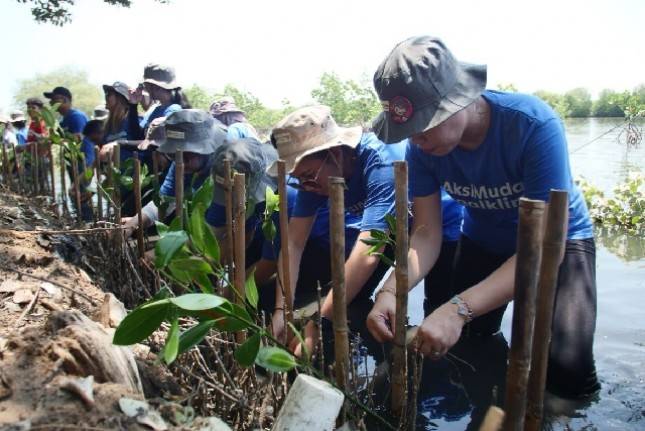 J Trust Bank Lawan Krisis Iklim Melalui Penanaman 3.000 Mangrove  