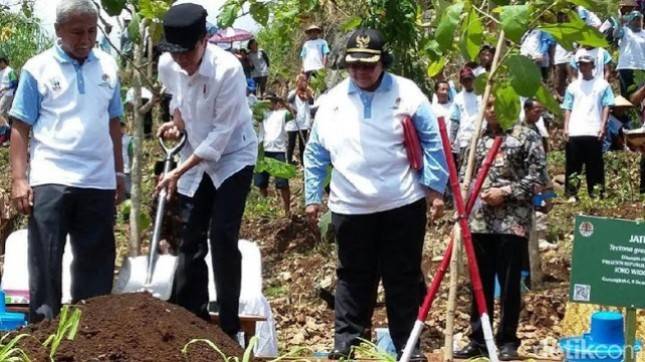 Pemerintah Tanam 45 Ribu Batang Pohon Libatkan 300 Petani