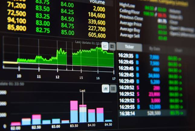 MancingDollar Cetak Ribuan Trader Hebat, IRT, Ojol hingga Pengusaha Raup Cuan