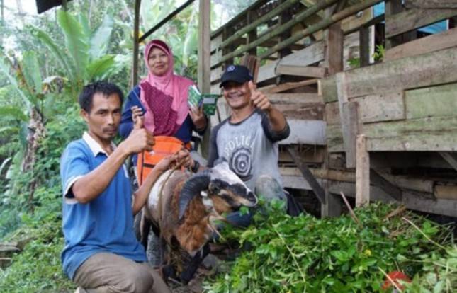 Kurban Se-Ngaruh Itu: Intip Kisah Uceng, Sukses Bersama THK Dompet Dhuafa Dari Peternak Hingga Bisa Bangun Madrasah