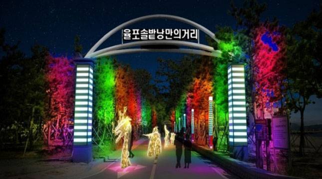 Menikmati Suasana Malam di Festival Cahaya Perkebunan Teh Boseong, Korea Selatan