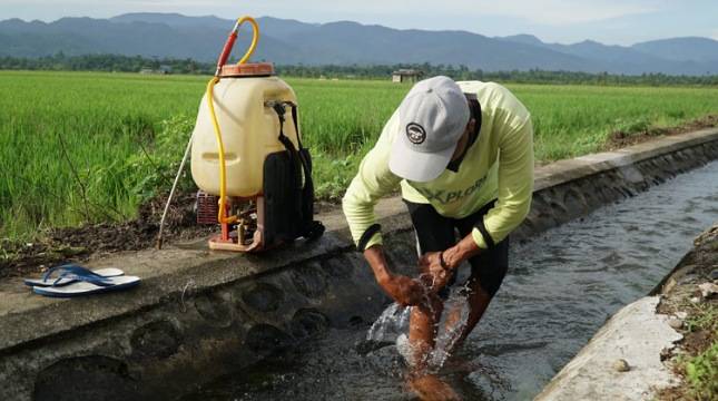 Strategi Terintegrasi Hadapi El Nino, Kementan Optimistis Ketahanan Pangan Tetap Terjaga