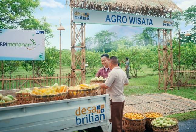 BRI Berdayakan 4.909 Desa BRILiaN