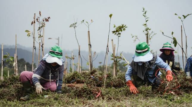 Langkah Nyata Investasi Hijau EIGER Adventure Land: Transformasi Konflik Agraria Menjadi Ekowisata Bermakna 