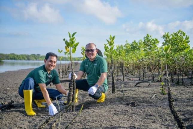 Gerak Cepat Selamatkan Ekosistem Teluk Benoa, BSN: Ini Investasi Masa Depan, Mangrove Serap Karbon, Lindungi Pantai, Rumah Biota Laut