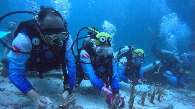 Pulihkan Ekosistem Wisata Laut di Aceh, Pekerja BRI Lakukan Transplantasi Terumbu Karang di Perairan Kepulauan Sabang