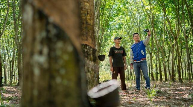 Dorong Ekonomi Hijau dan Inklusif, BRI Perkuat Pertumbuhan Berkelanjutan