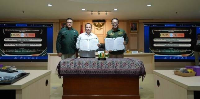 Kemendag Gandeng Bapanas Bangun Sistem Keamanan Pangan Nasional yang Lebih Terpadu